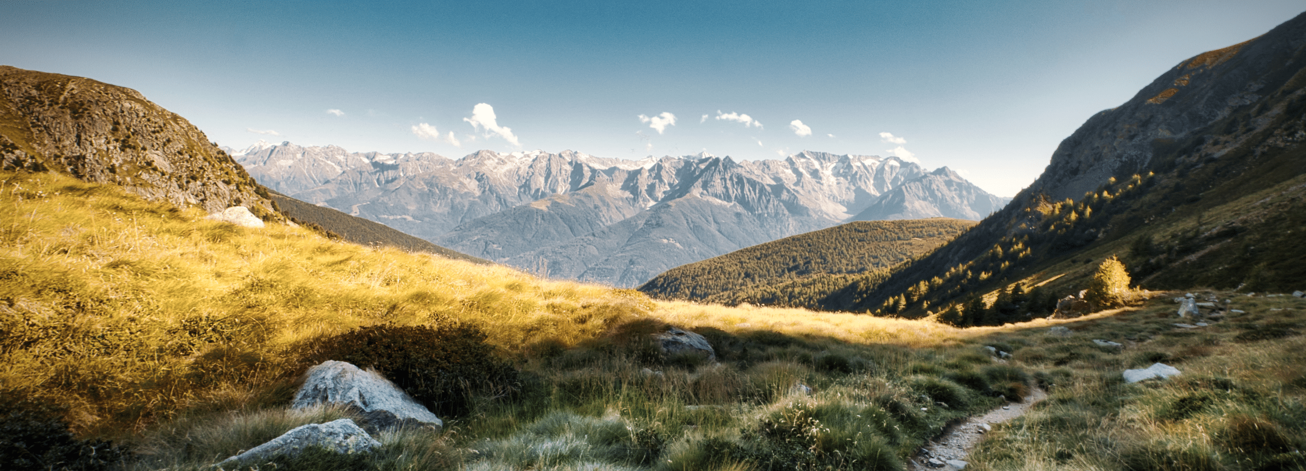 Financial Advisors Serving Provo